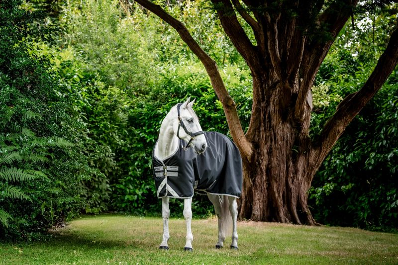 HORSEWARE - Amigo Bravo 12 T/O 100g Black