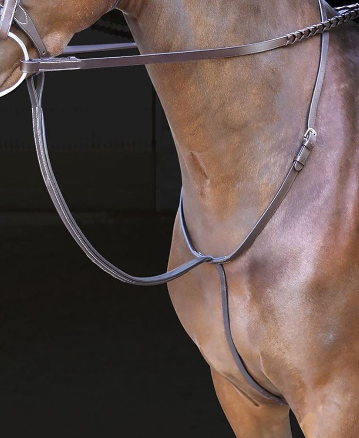 SHIRES - Standing Martingale Rossano, Color: Havana, Size: Poney