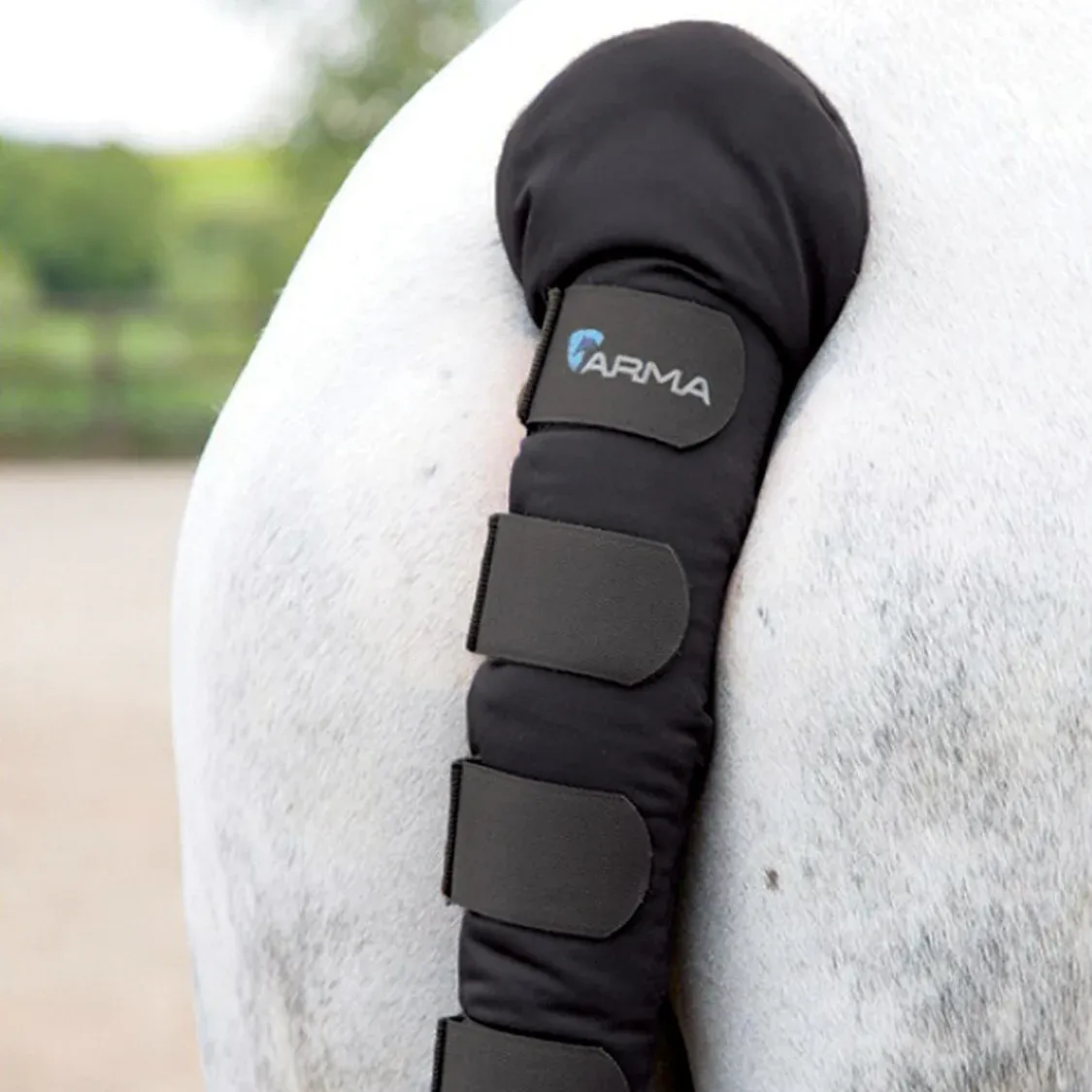 ARMA - Padded Tail Guard, Color: Noir