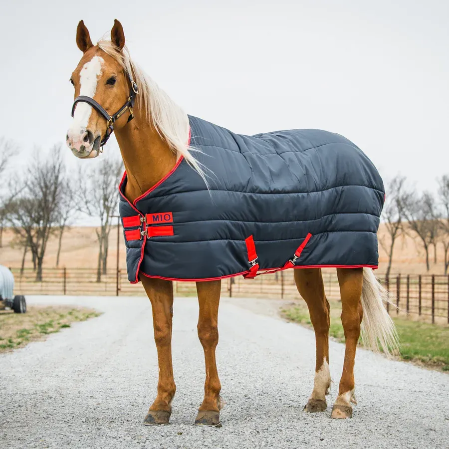 HORSEWARE - Mio Insulator Medium 150g, Color: Navy/Rouge, Size: 72 po