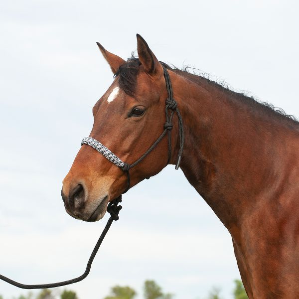 CASHEL - Braided Nose Halter, Color: Noir Camo
