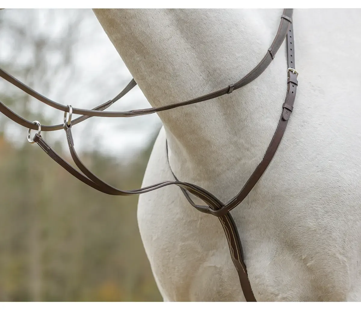 SHIRES - Martingale à  anneaux, Color: Havana, Size: Cob