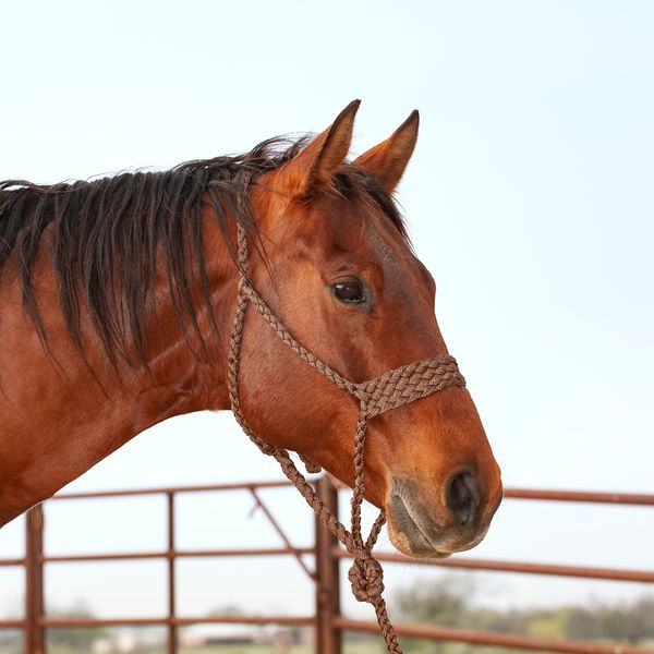 CLASSIC EQUINE - Wide Nose Flat Braid Halter &amp; Leadrope, Color: Brun