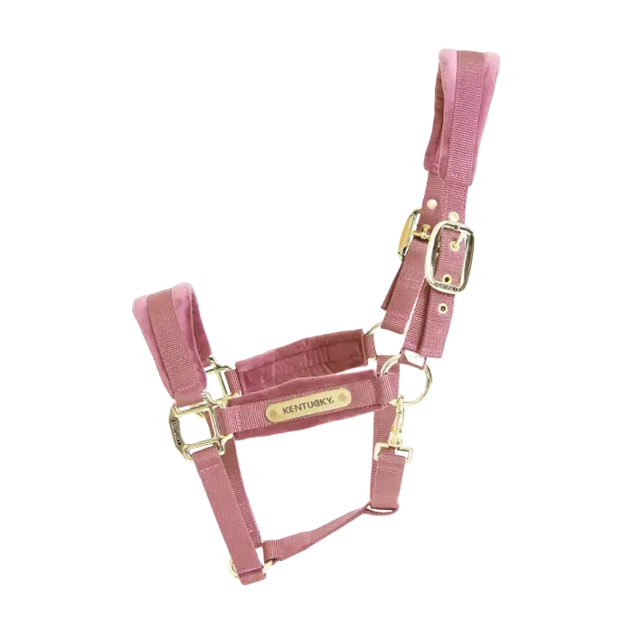 KENTUCKY HORSEWEAR - Velvet Old Rose Halter, Size: Cob