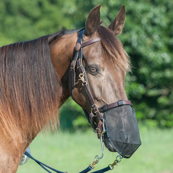 CASHEL - Quiet Ride Nose Net, Size: Medium