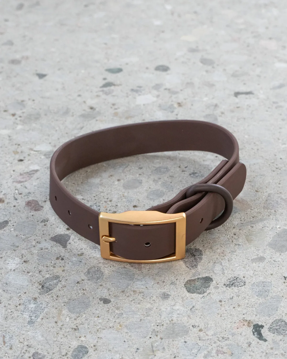DEXYPAWS - Espresso Waterproof Dog Collar, Size: Small