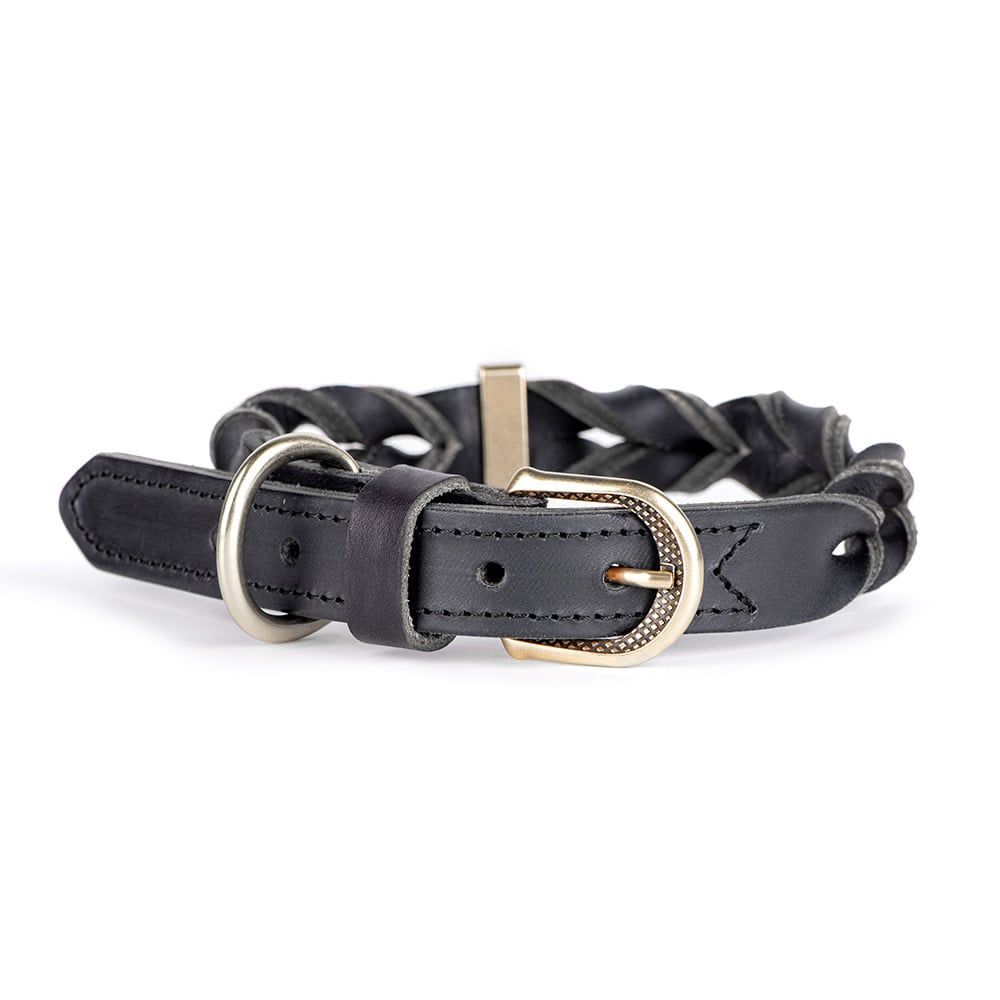 MYFAMILY - Ascot Dog Collar in Greased Italian Black Leather, Size: Small