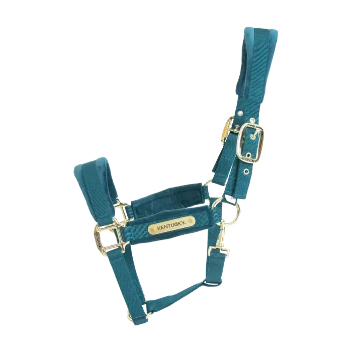 KENTUCKY HORSEWEAR - Velvet Emerald Halter, Size: Cob