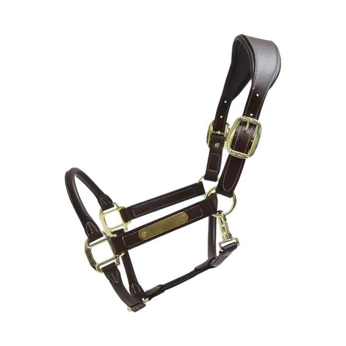 KENTUCKY HORSEWEAR - Anatomic Brown Leather Halter, Size: Cob