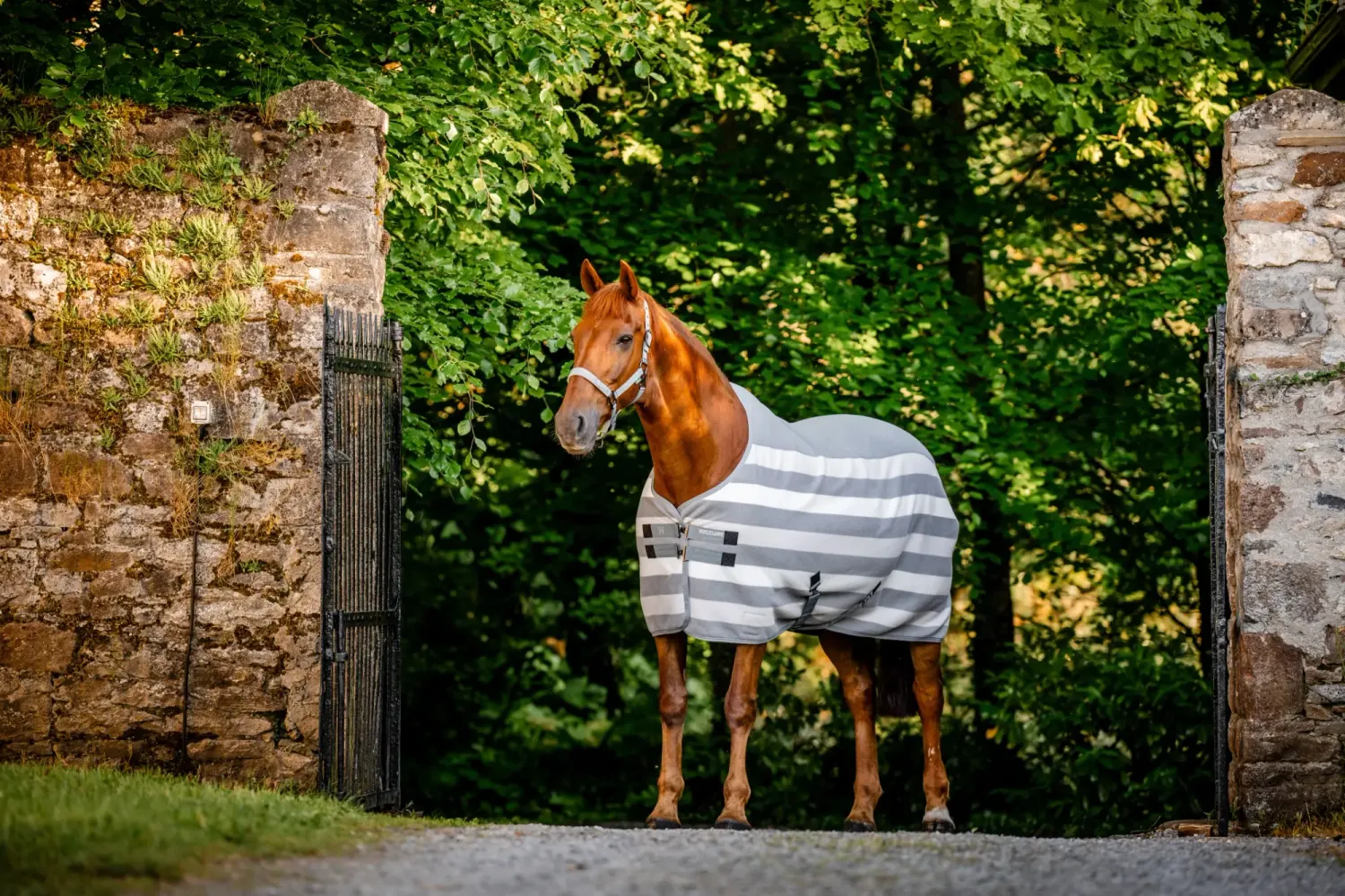 HORSEWARE - Newmarket Fleece Cooler, Color: Witney Charcoal, Size: 69