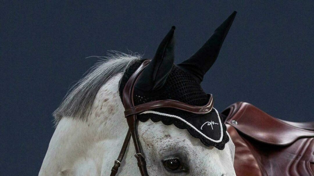 DY&#39;ON - Diamond Fly Hat, Color: Noir, Size: Full