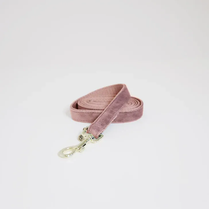 KENTUCKY DOGWEAR - Dog Leash Old Rose Velvet, Size: Small