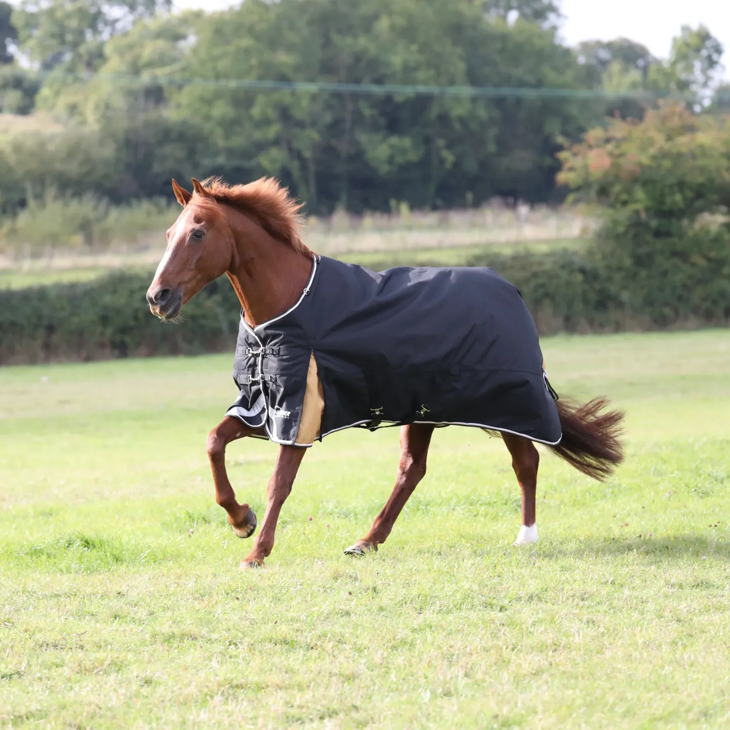 SHIRES EQUESTRIAN - Highlander Plus 200g Turnout Winter Rug, Color: Noir/Or, Size: 69