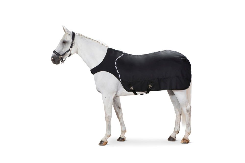 ESKADRON - Black Delta Walker System, Size: Medium