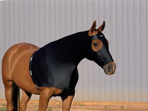 JAMMIES - Nylon hood with zipper