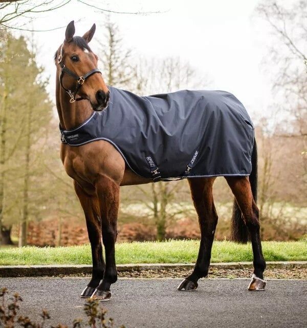 HORSEWARE - Amigo Walker