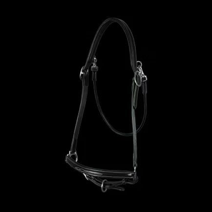 DY&#39;ON - Black Grooming Halter, Size: Full