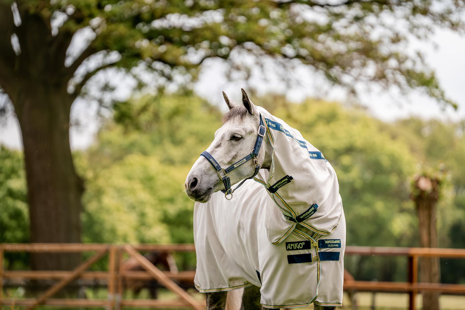 HORSEWARE - Amigo Bug Rug en Mesh Lunar Rock, Piping: Navy/Lime, Size: 69