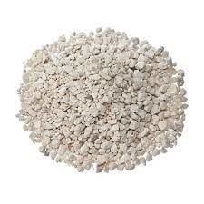 Oyster Shell