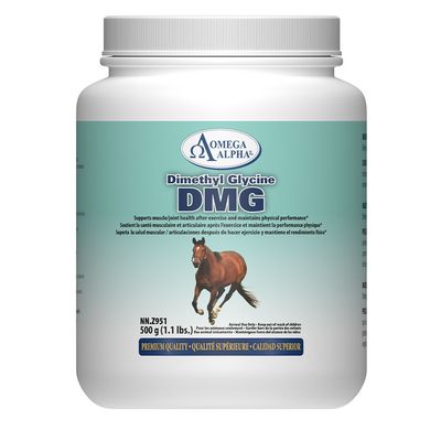 OMEGA ALPHA - Dimethyl glycine DMG