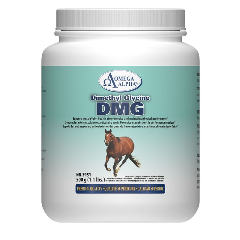 OMEGA ALPHA - Dimethyl glycine DMG