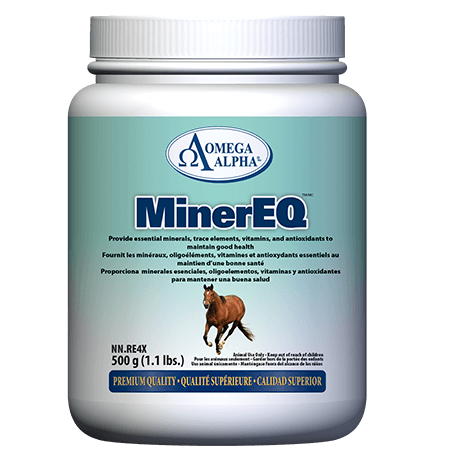OMEGA ALPHA - MinerEQ