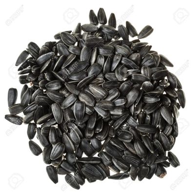 VRAC - Black sunflower