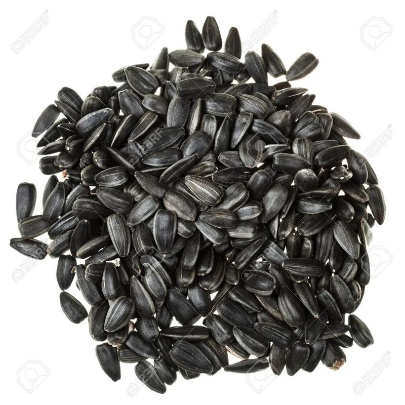 VRAC - Black sunflower