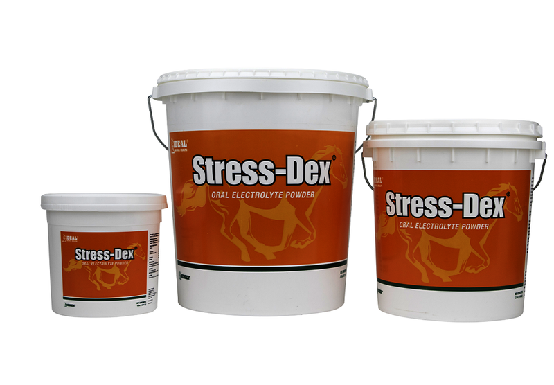 IDEAL ANIMAL HEALTH - Stress-Dex Powdered Electrolyte Supplement