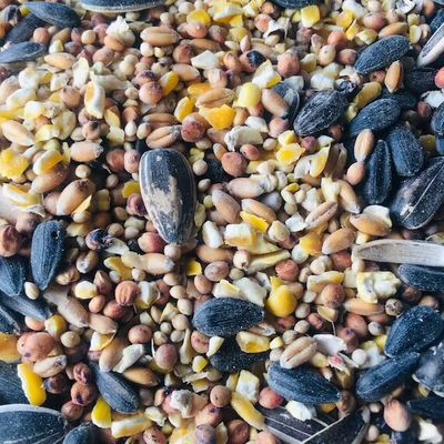 VRAC - Wild Bird Mix