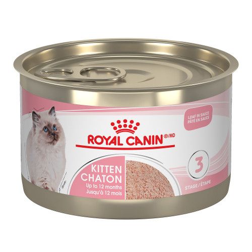 ROYAL CANIN - Feline Health Nutritionâ„¢ Kitten Loaf In Sauce