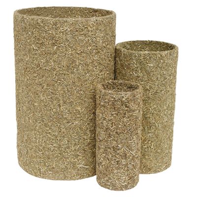 LIVING WORLD - Alfalfa Chew-nels