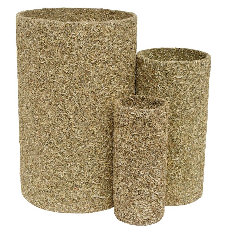 LIVING WORLD - Alfalfa Chew-nels