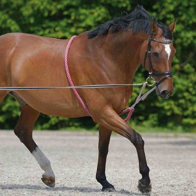 WALDHAUSEN - Rope Lunge Aid