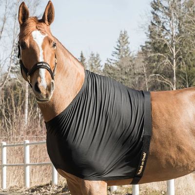 BACK ON TRACK - Equine shoulder guard