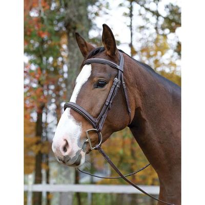 SHIRES - Ocala Avignon Bridle