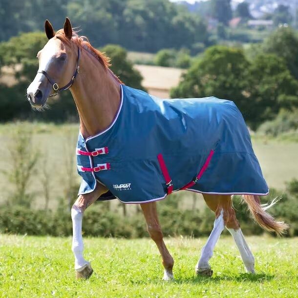 SHIRES - Tempest pony rain sheet