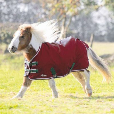 SHIRES - Highlander Original 200g miniature blanket