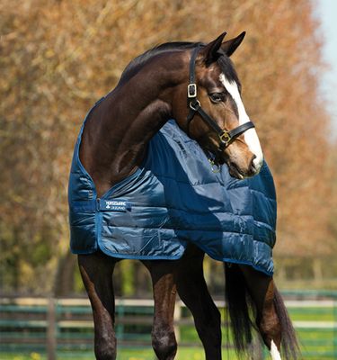 HORSEWARE - 100g Liner