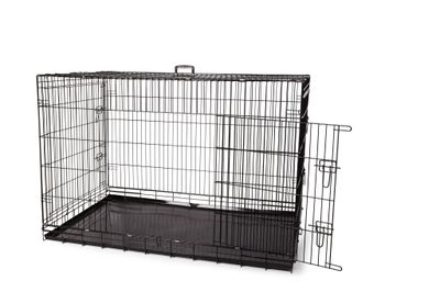 BUD&#39;Z - Cage (without separation)