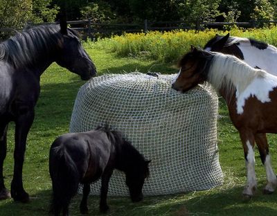 BALE BUDDY - Slowfeed Haynet