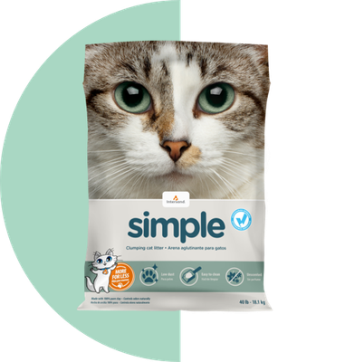 INTERSAND - &quot;Simple&quot; clumping litter