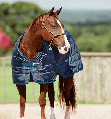 HORSEWARE - 300g Liner (Heavy)