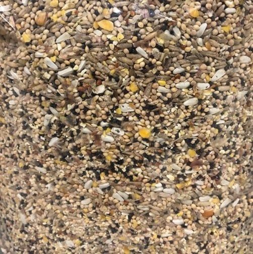 Les Grains Douglas - Dove mix