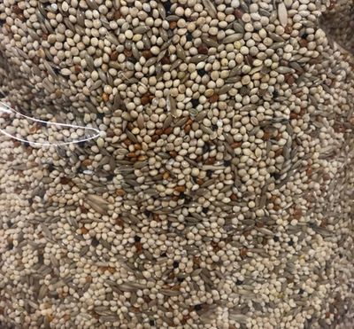 LES GRAINS DOUGLASS - Budgies mix