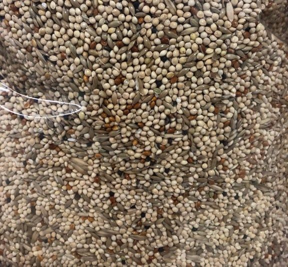 LES GRAINS DOUGLASS - Budgies mix