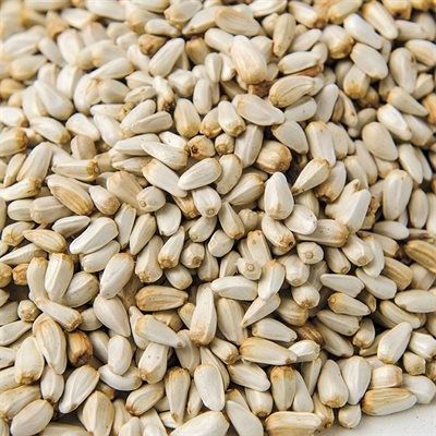 LES GRAINS DOUGLASS - Safflower seeds