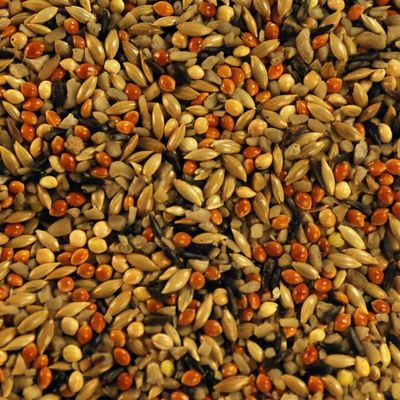 LES GRAINS DOUGLASS - Finch mix