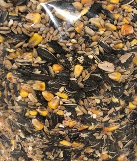 LES GRAINS DOUGLASS - Hamster/Gerbil mix