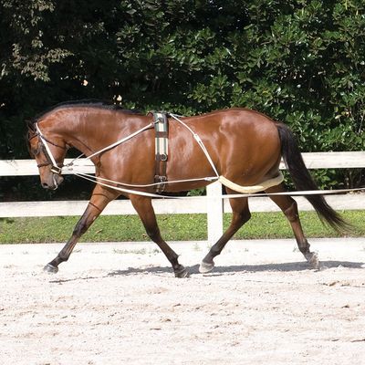 PESSOA - Lanyard training system